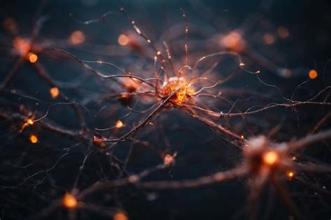 Premium Ai Image Human Brain Neuron 3d Art Illustration