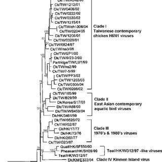 Phylogenetic Tree Based On The Complete Nucleotide Sequences Of HA