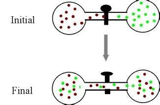 1 Illustration of the mixing of two gases. Gases spontaneously migrate ...