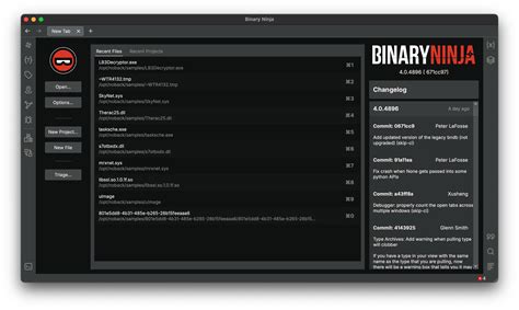 Getting Started Binary Ninja User Documentation