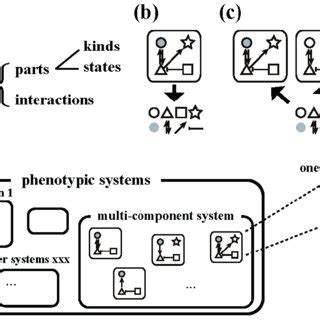 The Concept Of Multi Component Systems A Multi Component Systems