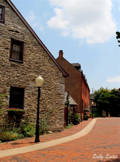 cupcakes owls charming  town  downtown lancaster