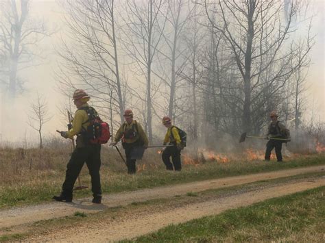 picture firefighters working