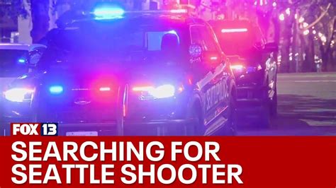 Search Continues For Suspect In Deadly Seattle Shooting Fox 13