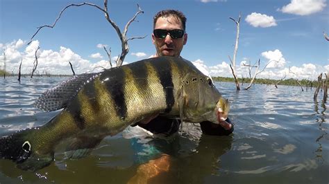 Pesca de Caiaque Tucunaré Azul no Lago Peixe TO YouTube