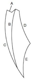 posselts envelope  motion flashcards quizlet