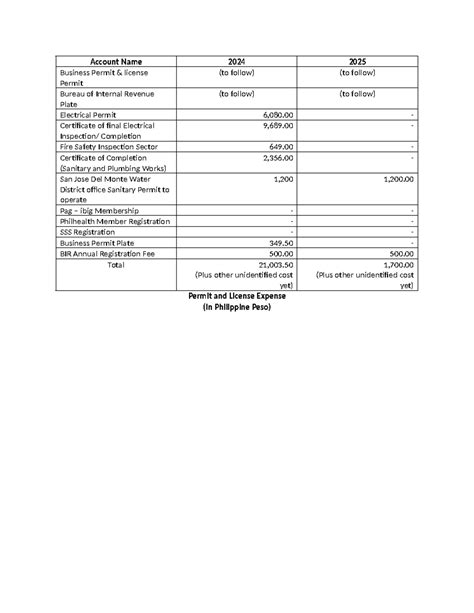 Permit and License Expense - Account Name 2024 2025 Business Permit