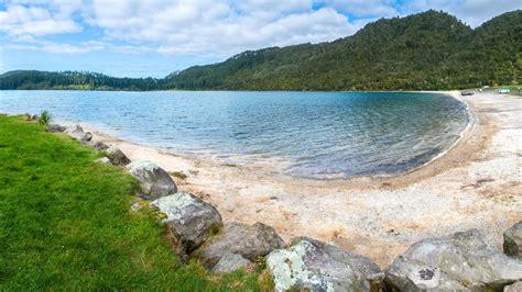 lake tikitapu scenic reserve places     bay  plenty region