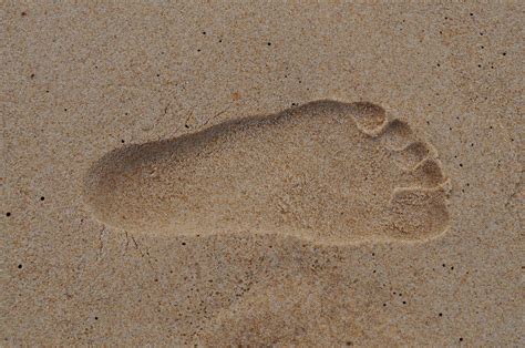 how to wet sand