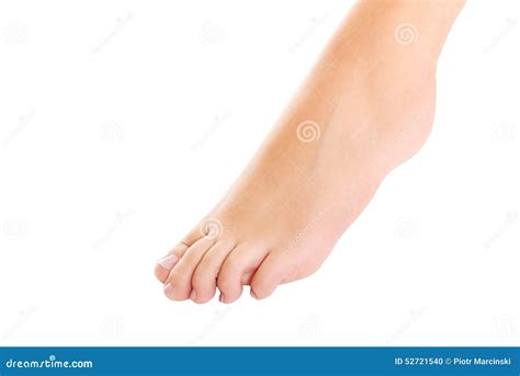 Woman s bare foot. stock photo. Image of care, foot, healthy - 52721540