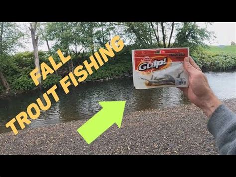 Fall Trout Fishing With Gulp Minnows YouTube