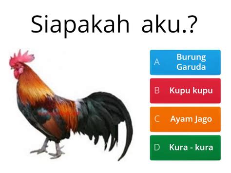 mengenal macam macam binatang quiz