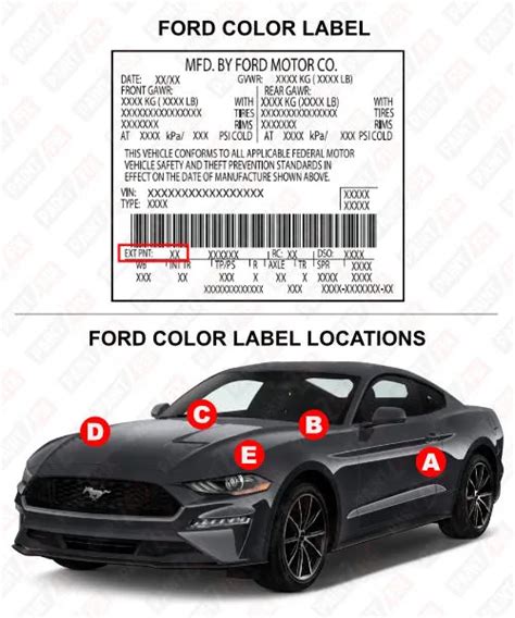 Ford Europe Kona Blue L6 Touch Up Paint And Scratch Repair Kit