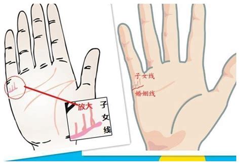 从手相看你的子女运（配图）