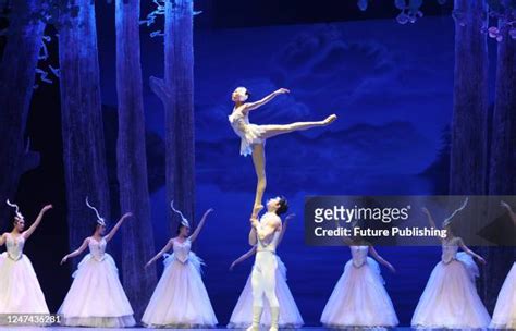 Acrobatic Swan Lake Fotografías E Imágenes De Stock Getty Images