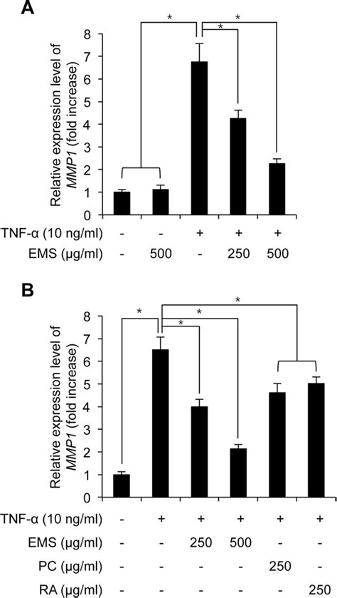 The Effect Of Ems On Tnf Induced Mmp Mrna Expression In Hdfs Hdfs