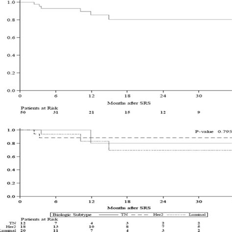 Kaplan Meier Estimation Of Overall Survival Os In Patients With Bm