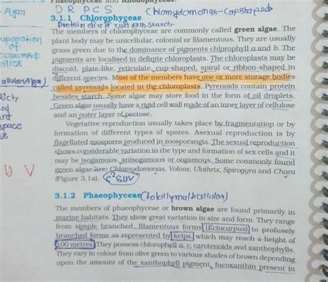 3.1.1 Chlorgphyceae The members of chlorophyceae are commonly called gree..