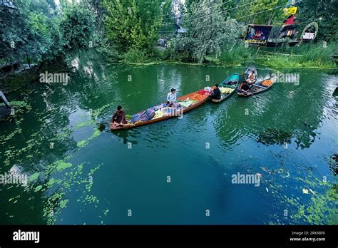 Floating Vegetable Market Dal Lake Srinagar Kashmir India Stock