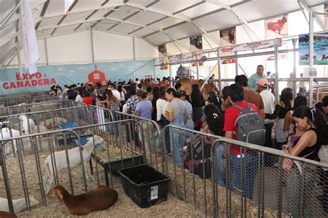 Prev N M S De Un Mill N De Personas Y Derrama De Mdp En Feria De