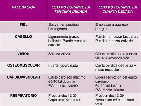 Mapa Mental Del Adulto Joven