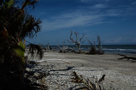 Botany Bay, Edisto Island, South Carolina [OC] (6000x4000) : r/EarthPorn