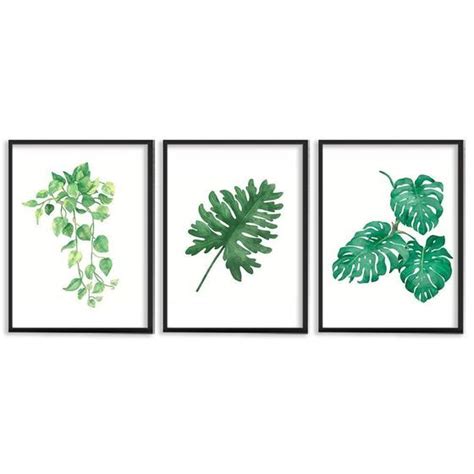 Kit 3 Quadros Decorativos Costela De Adão E Folhas Verde Prego E