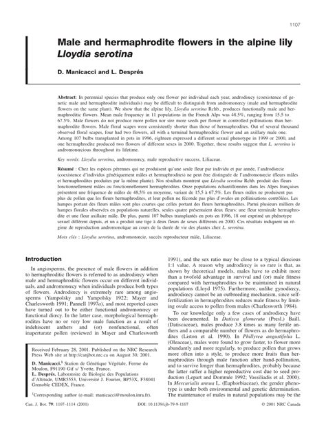 Pdf Male And Hermaphrodite Flowers In The Alpine Lily Lloydia Serotina