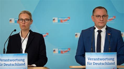 Insa Umfrage Absturz Trend Geht Weiter Afd Rutscht In Wählergunst Ab News De