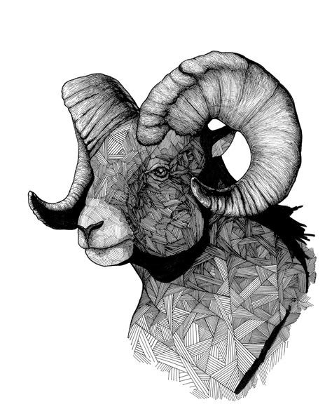 The Ram Ram Art Aries Art Art Prints Rams Big Horned - Etsy