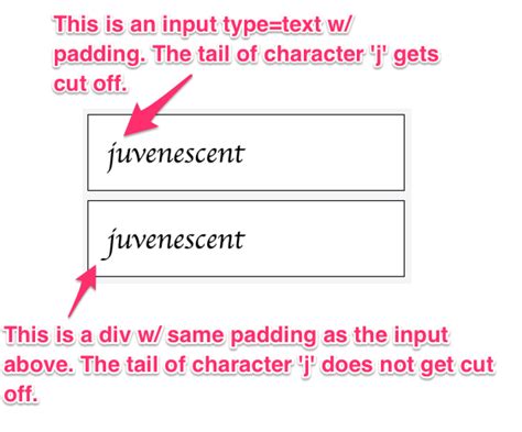 html - Why does the text inside an tag get cut off even if there's already a padding? - Stack ...