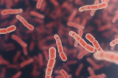 Marea Britanie: Cel puțin 30 de copii au murit din cauza infecției cu