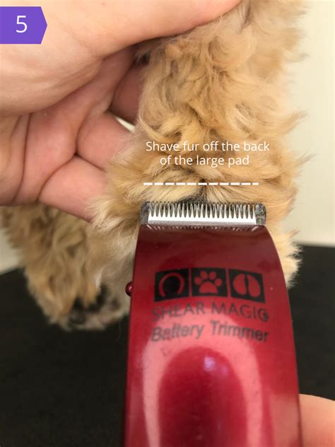 how to remove tar from dog paws