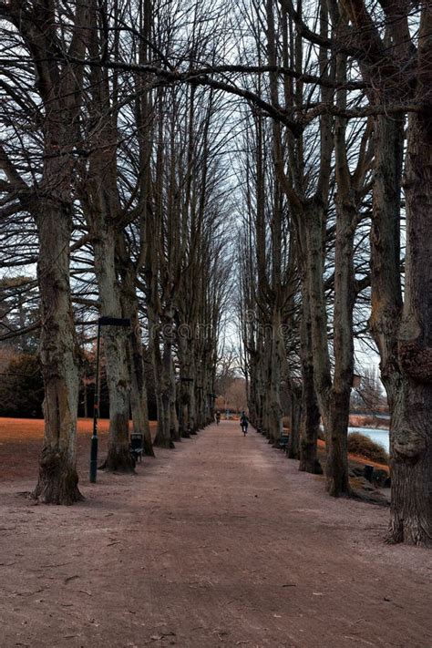 313 Naked Alley Photos Free Royalty Free Stock Photos From Dreamstime