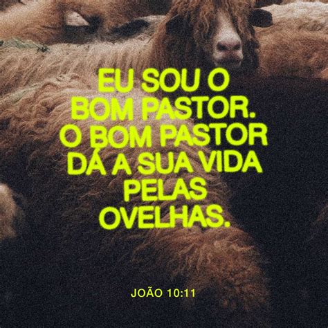 João 10 11 18 — Eu Sou O Bom Pastor O Bom Pastor Dá A Vida Pelas