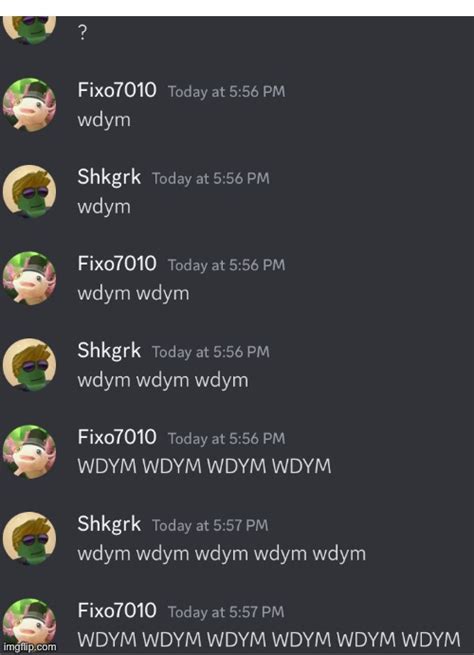 Wdym Imgflip