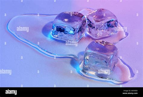 Ice Cubes Melting High Resolution Stock Photography And Images Alamy