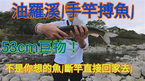 手竿搏大魚1溪釣第一次釣這麼大的魚53公分竹篙頭 Youtube