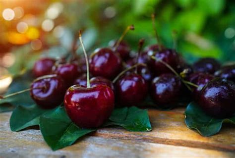 Principales Beneficios De Las Cerezas Para La Salud