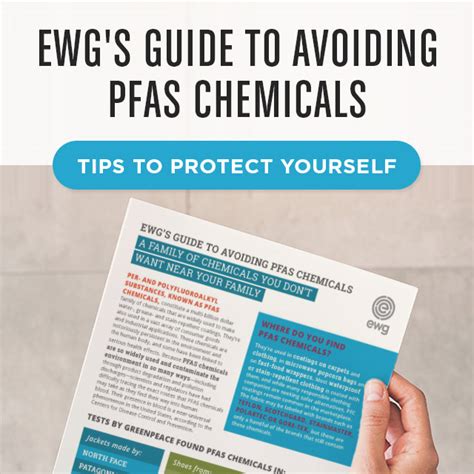 Food Scores How To Protect Yourself From Pfas Chemicals Milled