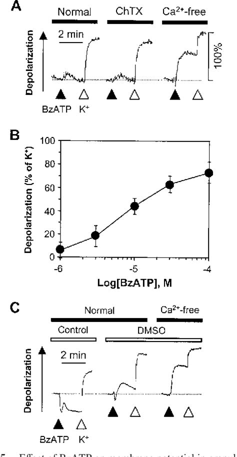 Figure 5 From P2x7 Nucleotide Receptor Mediation Of Membrane Pore