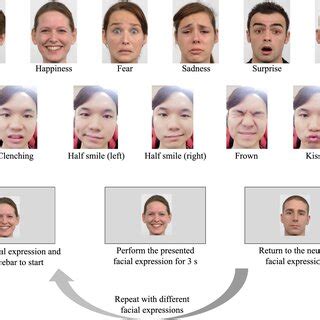 Eleven Facial Expression Picture Stimuli And An Experimental Procedure