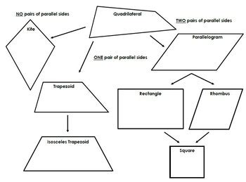 Quadrilateral Properties Family Tree (Graphic Organizer for Geometry)