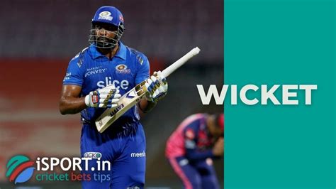 wicket  cricket  main meaning   term   game