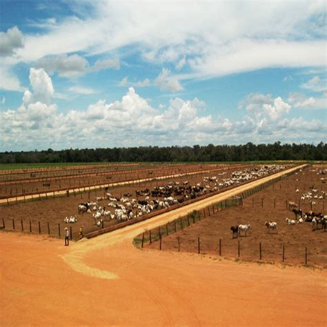 Fazendas a venda em goias silvano reis imóveis rurais homify