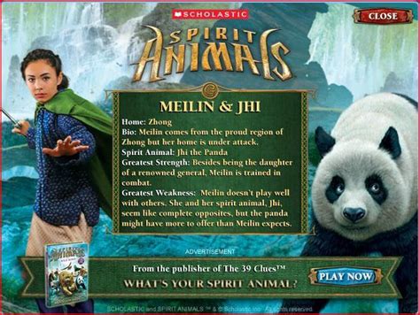 Meilin | Spirit animals book, Spirit animals series, Spirit animal