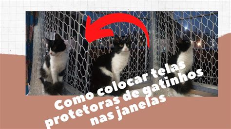 Diy Como Colocar Tela Protetora Para Gatos Em Janelas Youtube