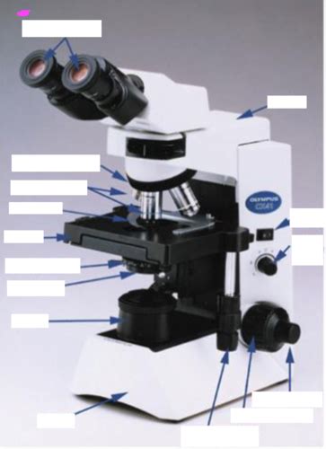 Microscope Labels Flashcards Quizlet