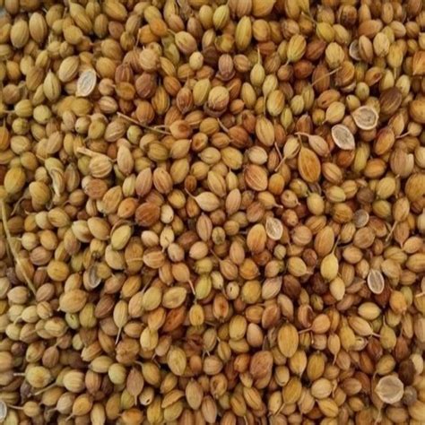 Brown Food Grade Dried Raw Coriander Seeds For Cooking At Best Price In