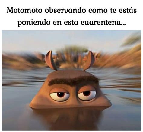 Motomoto Observando Como Te Est S Poniendo En Esta Cuarentena Memes